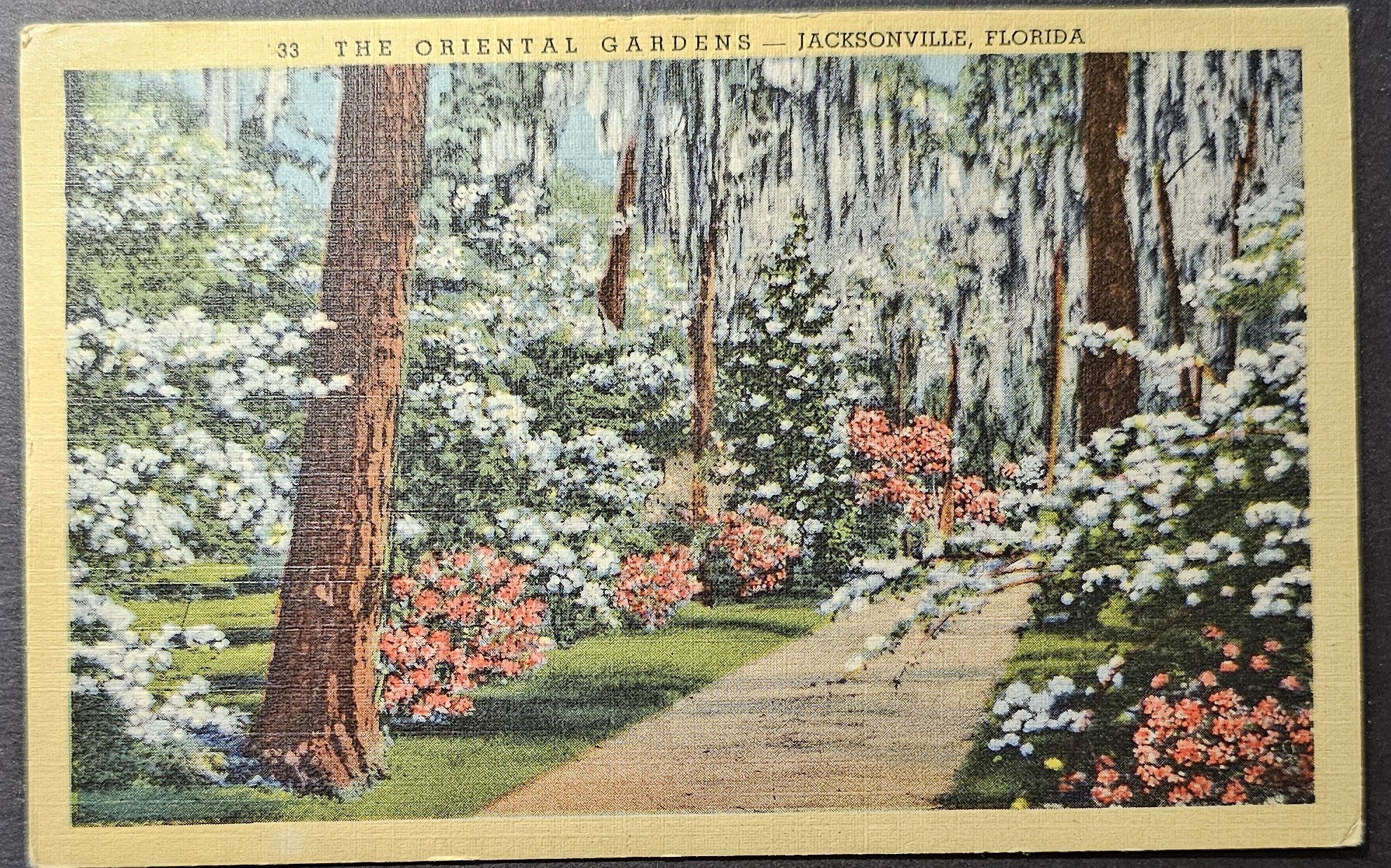 (image for) postcard USA - FL - Florida #0035